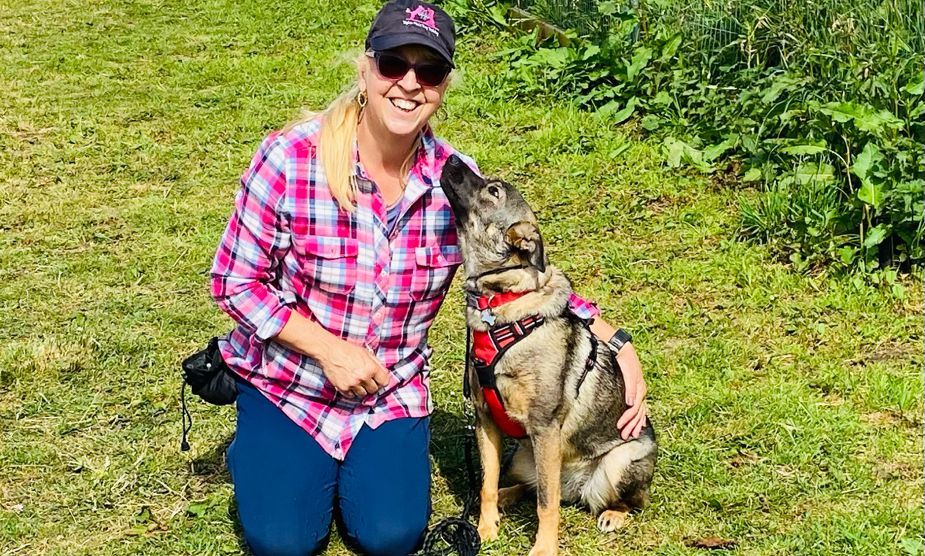 Experience-the-Benefits-of-Dog-Training-Camp