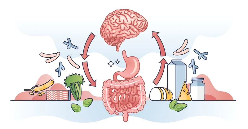 gut health