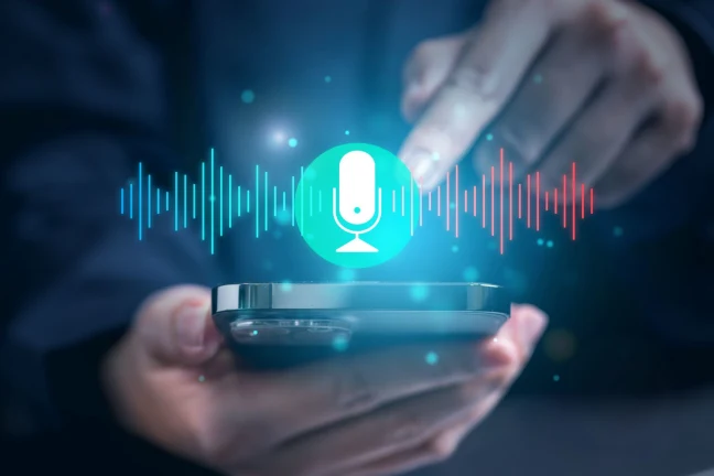 voice search optimization